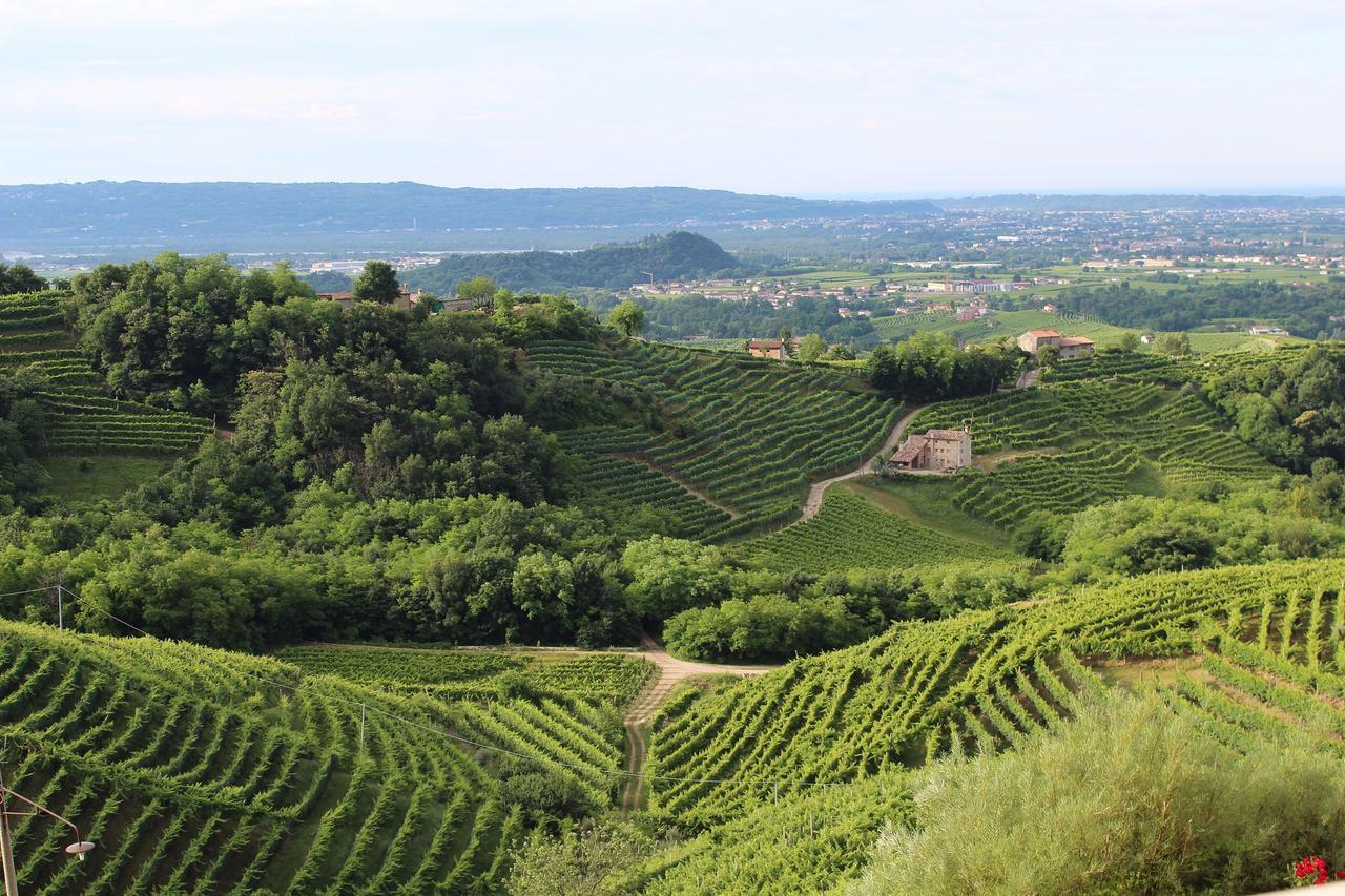 Wine Hotel San Giacomo Activity & Wellness 帕代尔诺德尔格拉帕 外观 照片