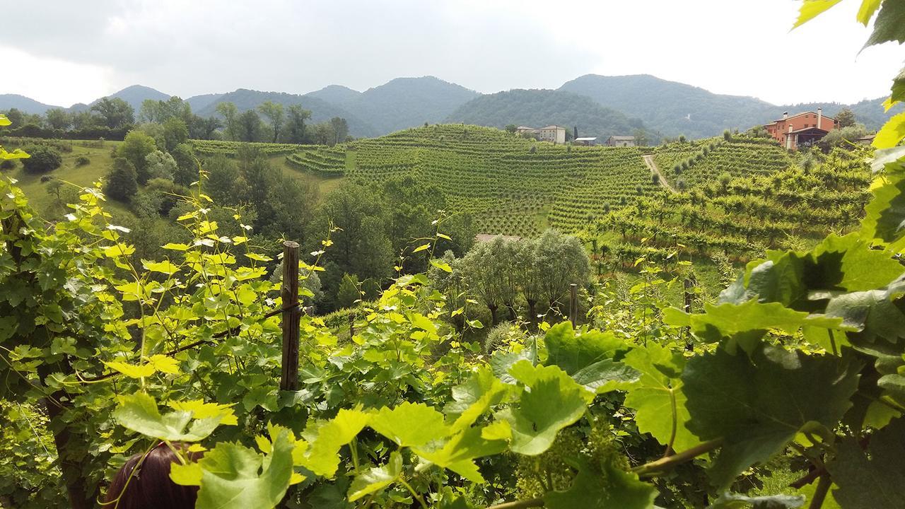 Wine Hotel San Giacomo Activity & Wellness 帕代尔诺德尔格拉帕 外观 照片