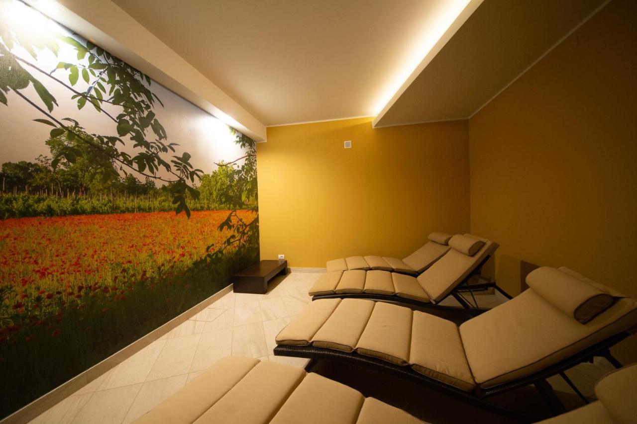 Wine Hotel San Giacomo Activity & Wellness 帕代尔诺德尔格拉帕 外观 照片